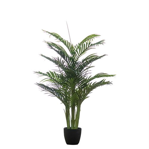 43205 PLANTA  ARECA PALM 130CM