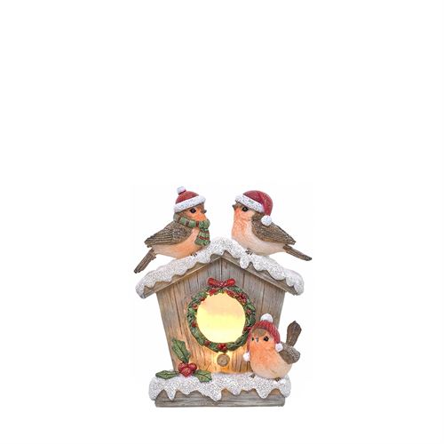 80809 NTL PASSARO RESINA