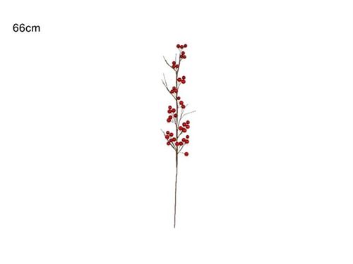 LB13353 NTL RAMO BAGAS