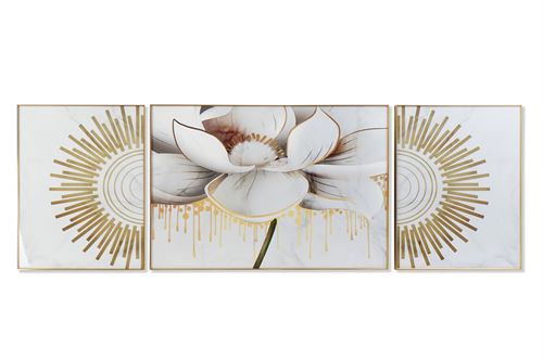 CU-187219 QUADRO SET 3 ALUM NIO MDF 120X3X80 FLOR