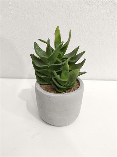 23809 CATO DECORATIVO