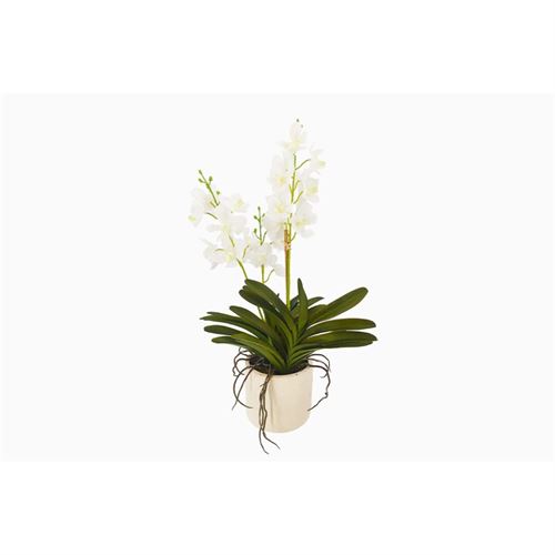 P050184951 ORQUIDEA BRANCA 34x23x61cm