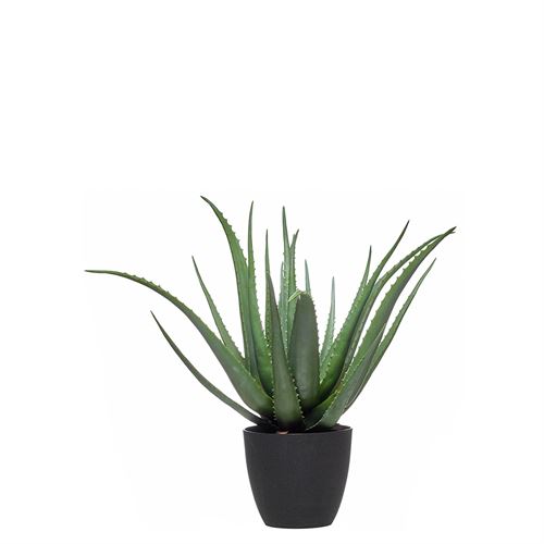 33105 PLANTA ARTIFICIAL ALOES 23FLHS