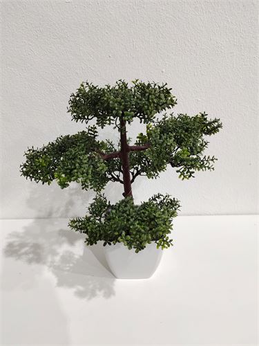 43054 BONSAI DECORATIVO