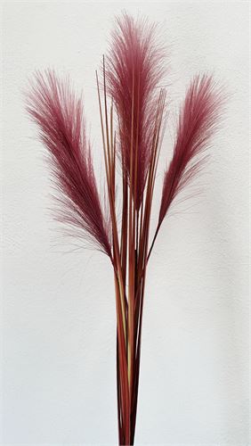 HIERBA DE LAS PAMPAS FUSCIA 98CM