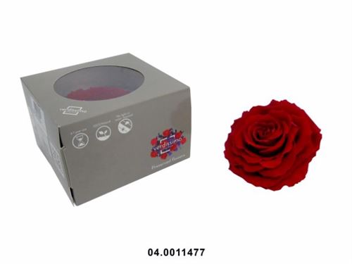 04.0011477 ROSA KING PRESERVADA EMB
