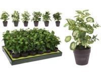 317002580 VASO C/ PLANTA 20 CM.6SORT