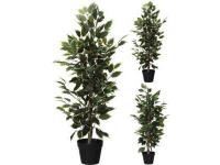 317002620 VASOC/PLANTA DE 95 CM.2SORT