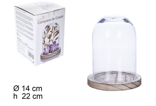 107654 CAMPANULA VIDRO