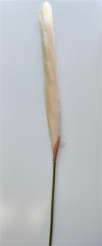 7620-01 PLUMA CREME 78CM