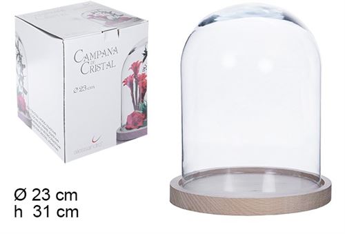 107656 CAMPANULA VIDRO