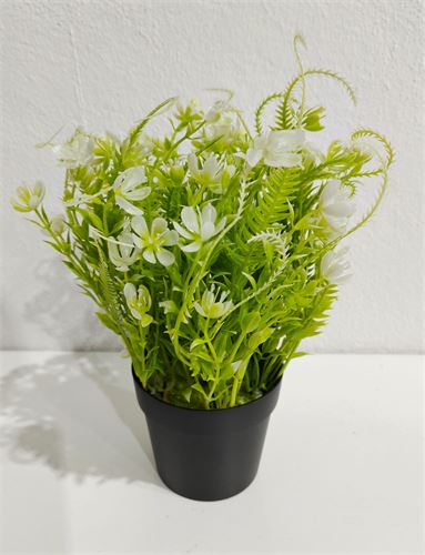 70771 VASO SILVESTRE