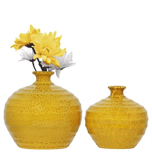 C93C POTE MIMOSA 25CM