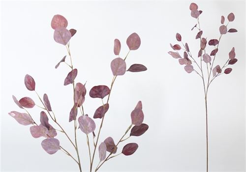 879385 EUCALIPTO 98CM