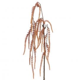 2036 HASTE AMARANTUS