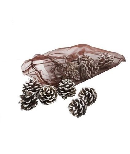 30991 NTL PINHAS DECORATIVAS