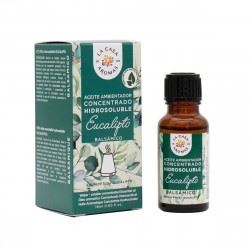 034412 AZEITE OLAS EUCALIPTO 15ML