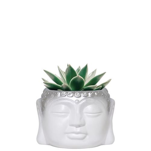 I100B VASO BUDA BRANCO PRATA