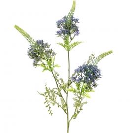 2024 HASTE PETREA 81CM