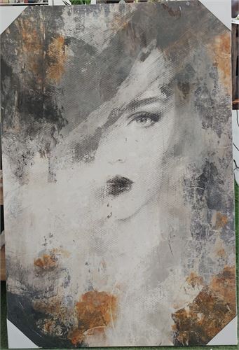 TELA 80X120X3,5CM DOPHM26693