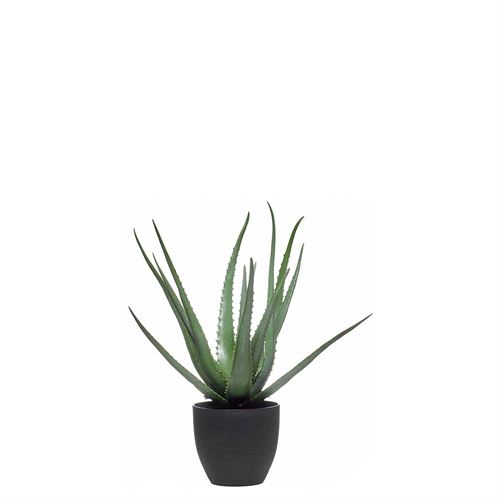 43311 PLANTA  ARTIFICIAL ALOE