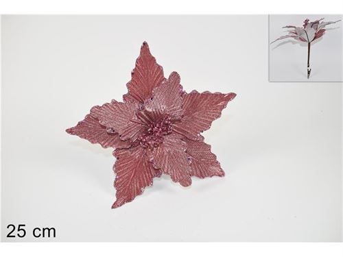 761539 NTL FLOR C/MOLA