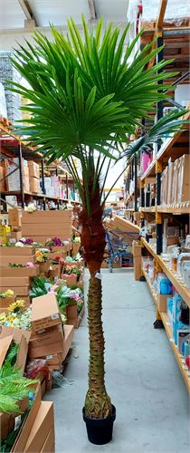 43206 PLANTA ARTIFICIAL 200CM