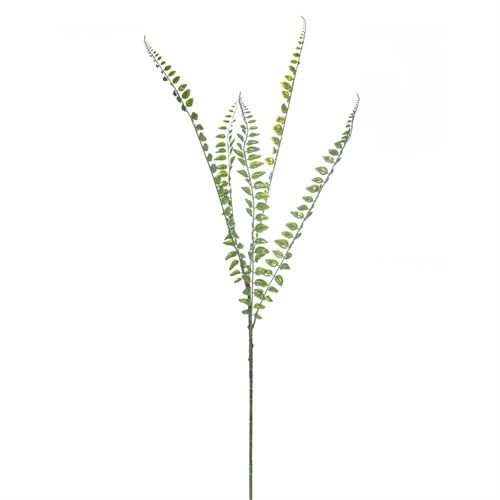 42172-HASTE FERN 90CM