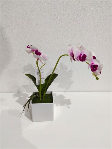 848558 VASO ORQUIDEA 30CM
