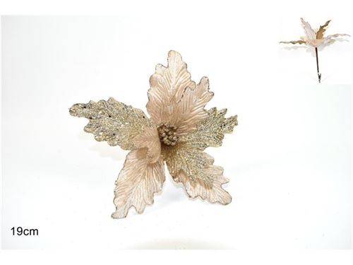 823350 NTL FLOR C/MOLA