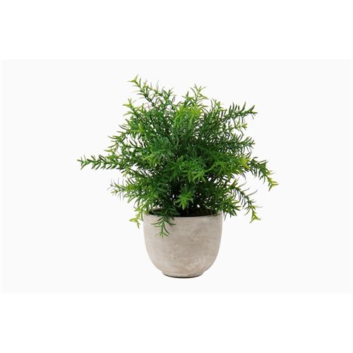 P050184814 PLANTA BX-48698/ST203 ARTIFICIAL 12X31CM