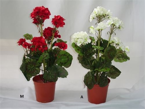 30511 RAMO DE SARDINHEIRA MPX9