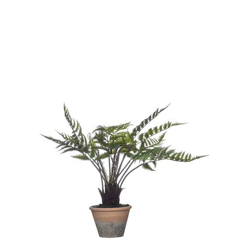 43335 PLANTA ARTIFICIAL 55CM
