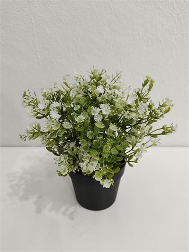 70770 VASO GIPSOFILA