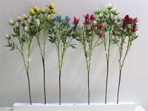 20442 HASTE SEA HOLLY X 10 68CM