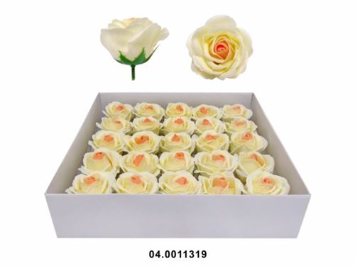 04.0011319 ROSAS SABAO CX25