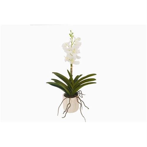 P050184953 ORQUIDEA BRANCA 26x13x50cm