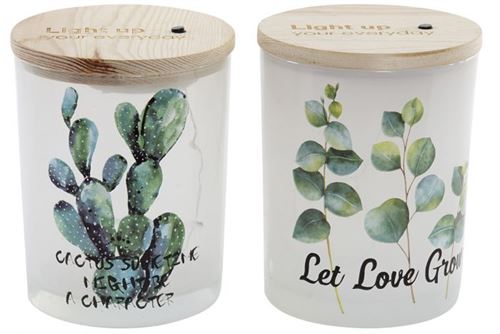 LA-166086 DECORAÇAO LUMINOSA LED