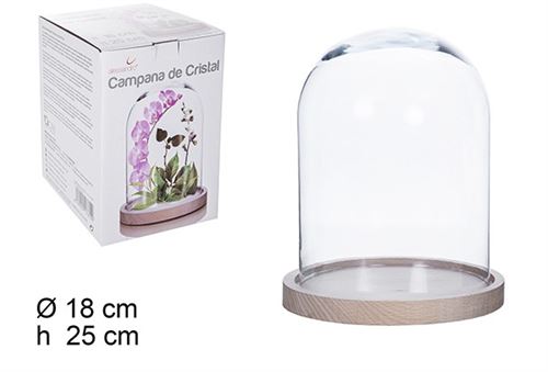 107655 CAMPANULA VIDRO