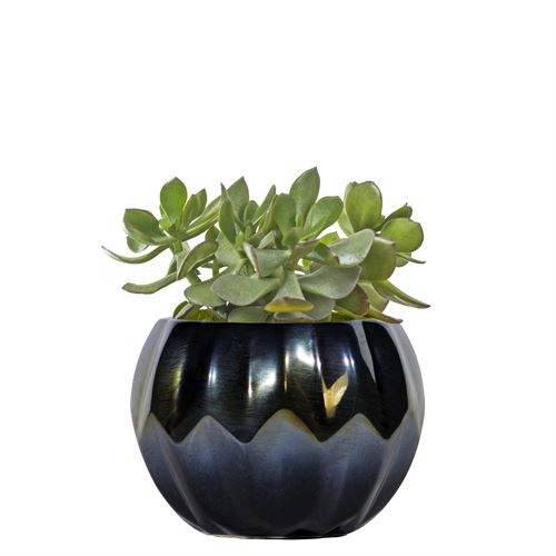 I86C VASO VIVIDO 14CM PRETO CERAMICA