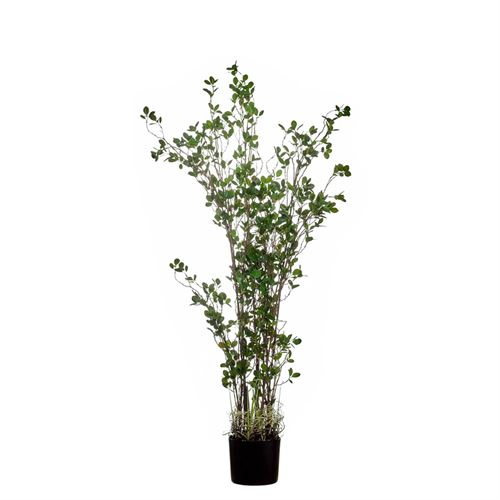 43401 PLANTA ARTIFICIAL RUBBER TREE 150CM