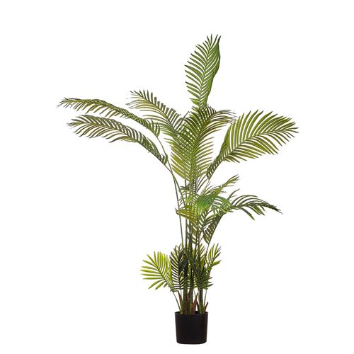 43292 PLANTA PALM TREE 170CM
