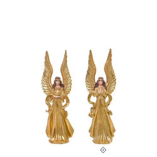 80479 NTL ANJO RESINA