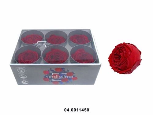 04.0011450 ROSAS PRESERVADAS EMB 6